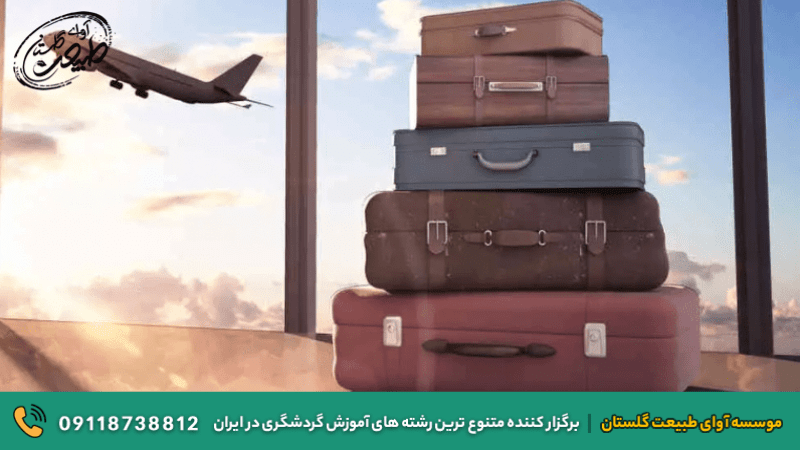 چمدان مسافر و هواپیما