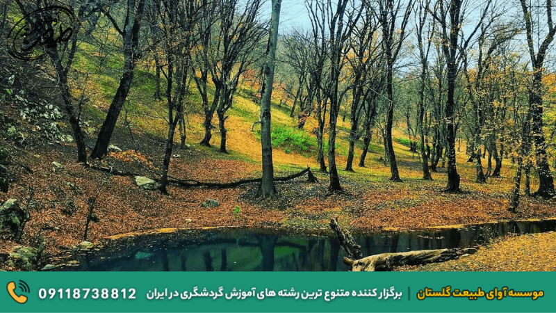 طبیعت شمال ایران