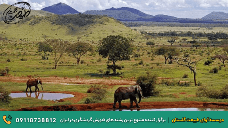 پارک‌های ملی در کنیا