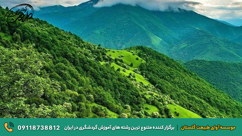 جنگل ارسباران، بهشت گمشده‌ای در آذربایجان شرقی